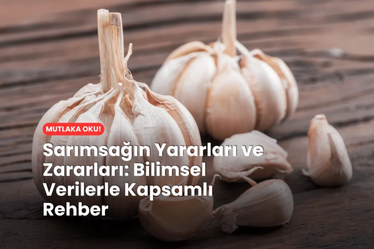 Sarımsağın Yararları ve Zararları Bilimsel Verilerle Kapsamlı Rehber