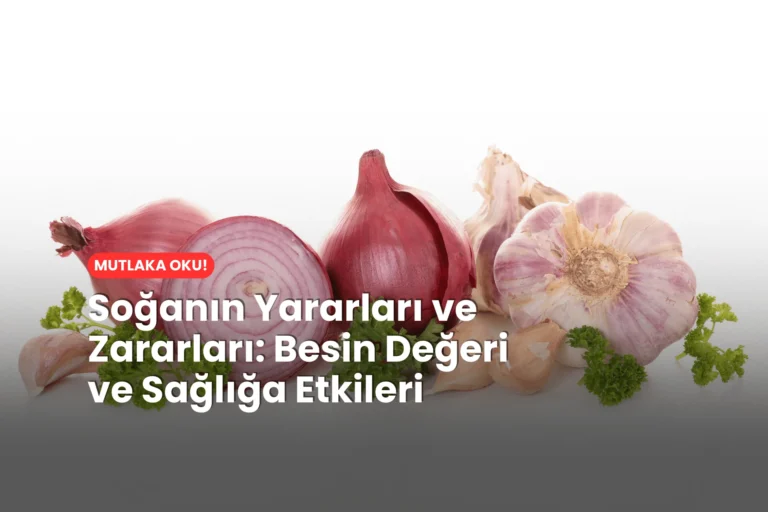 Soğanın Yararları ve Zararları Besin Değeri ve Sağlığa Etkileri